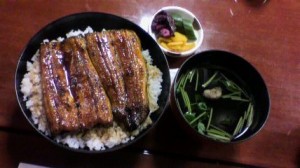 unagi